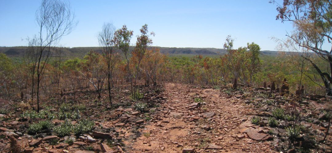 cycle touring, Top Humbert Yard, Gregory National Park, Northern Territory