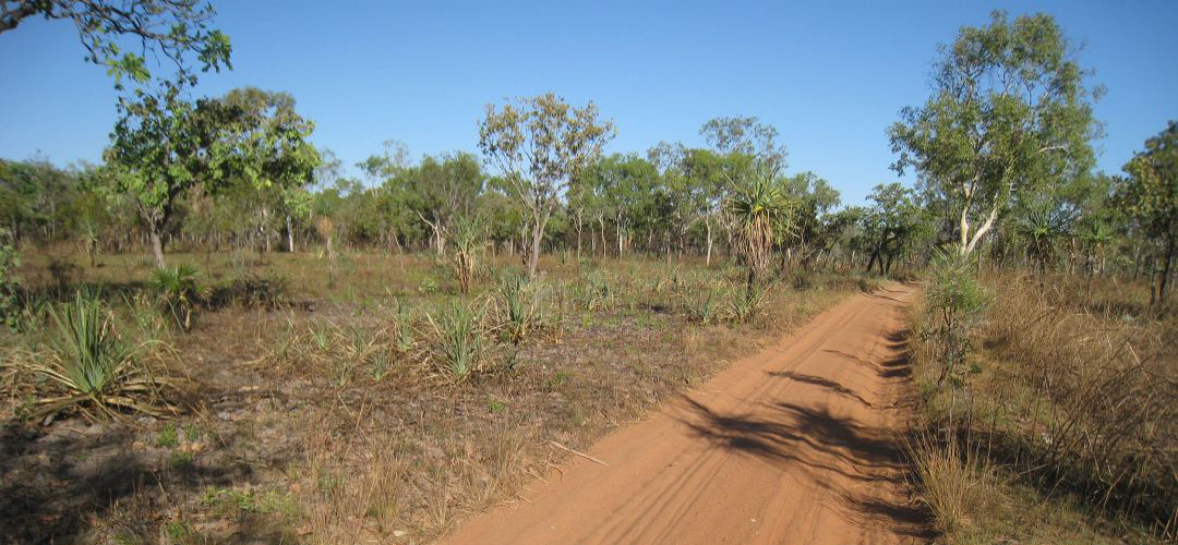 bicycle adventure, Sandy Billabong, Kakadu NP, Northern Territory