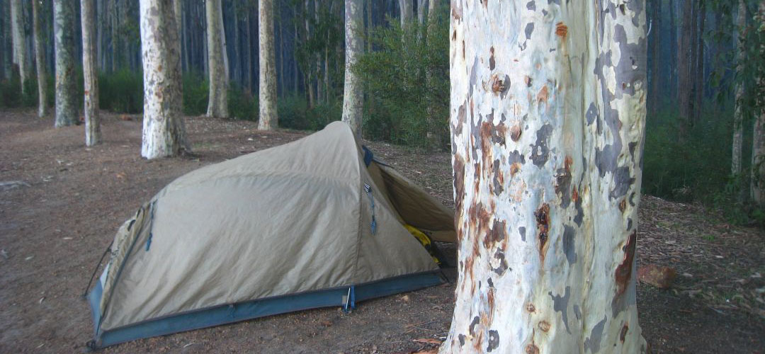 free camp, Marrinup camping area, Munda Biddi Trail, Western Australia